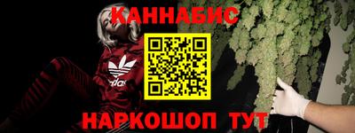 гашик Берёзовский