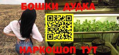 гашик Берёзовский