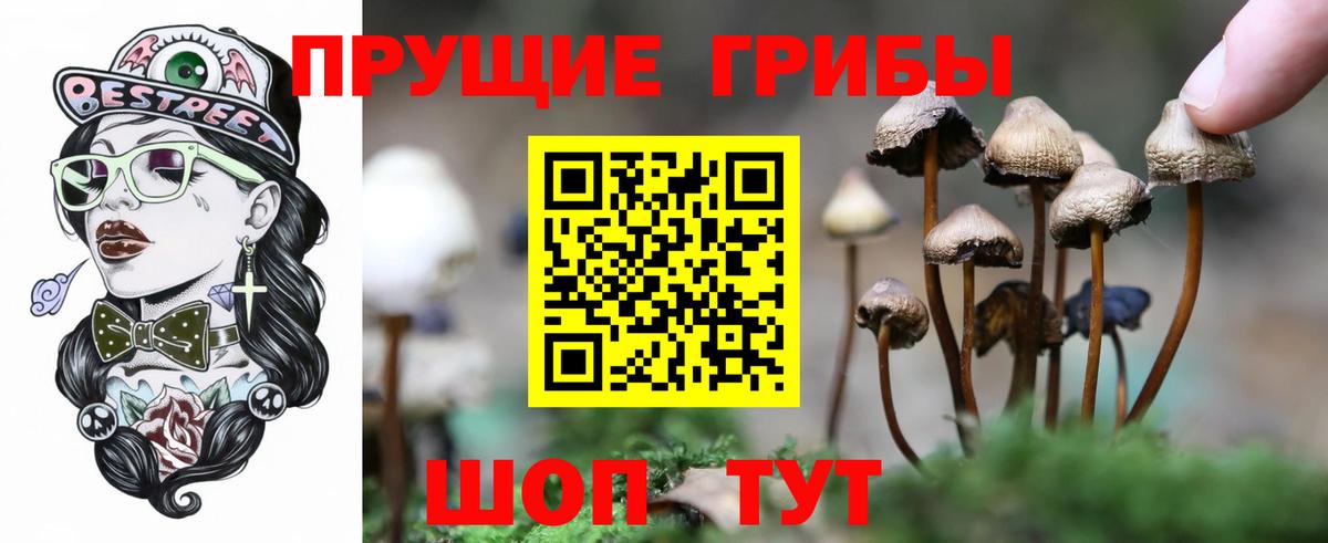 Галлюциногенные грибы MAGIC MUSHROOMS Кизилюрт