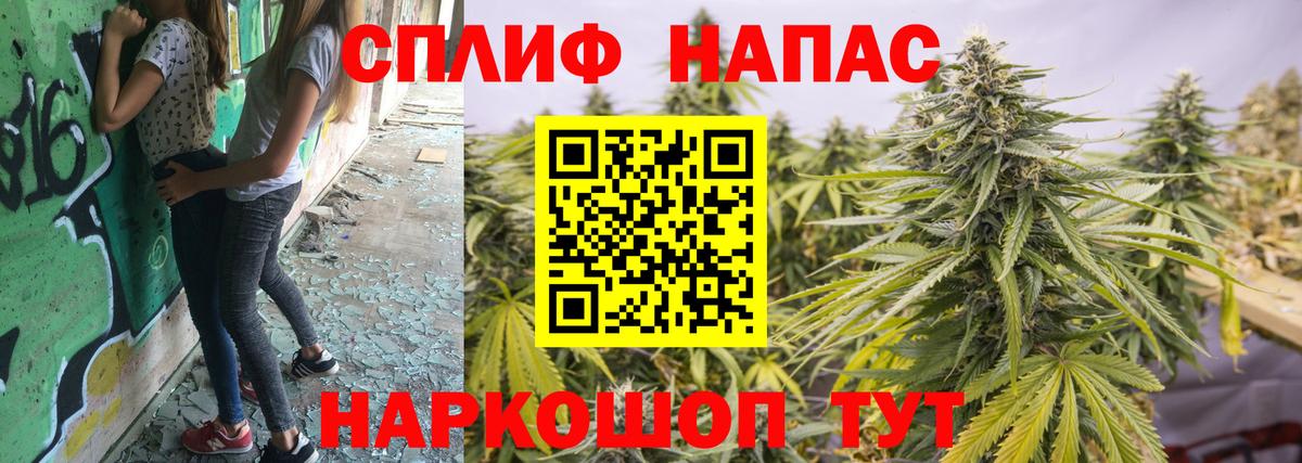 Бошки Шишки MAZAR Кизилюрт
